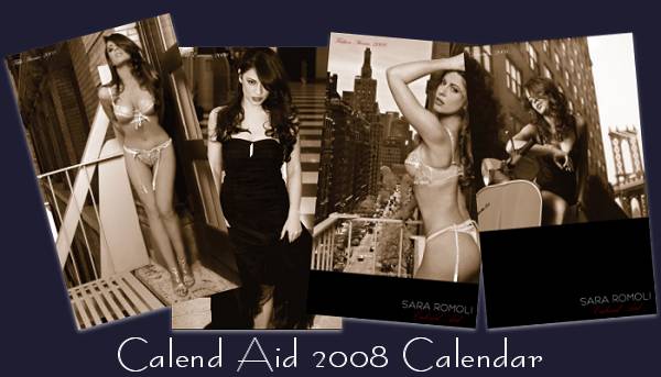 Sara Romoli 2008 Calend Aid calendar project